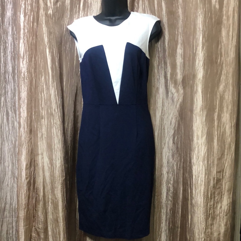 Venus color block dress